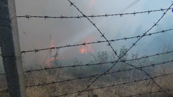 Cel mai violent incendiu de pădure a fost pe Muntele Cozia