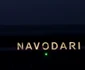 Năvodari are emblemă ca la Hollywood