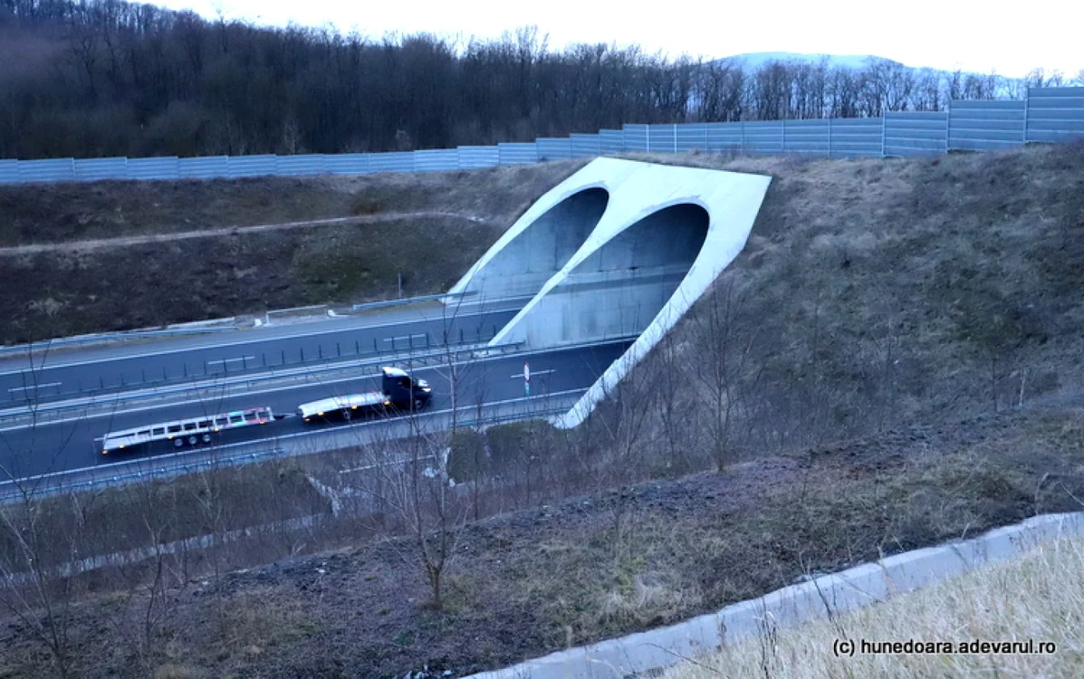 Ecoduct. Foto: Daniel Guță. ADEVĂRUL