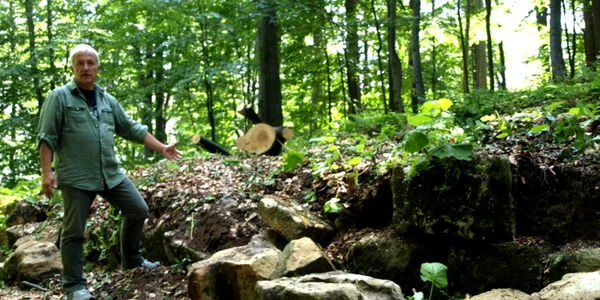 vladimir brilinsky sarmizegetusa regia foto daniel guta adevarul