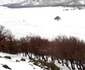 Zăpadă pe Munţii Măcinului la Greci - Dobrogea Sursa Ştefan Cioran