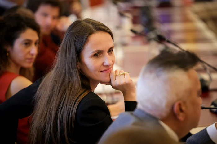 Oana Țoiu  FOTO: Facebook/Oana Țoiu