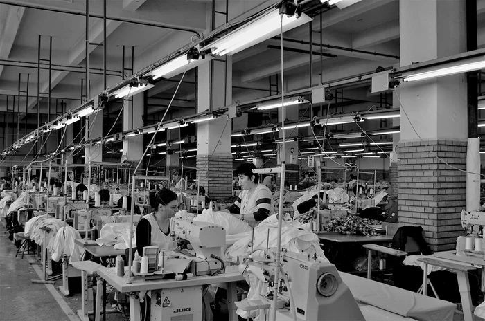 Fabrică de textile cu multe muncitoare care cos la mașinile de cusut