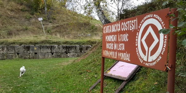 cetatea costesti foto daniel guta adevarul