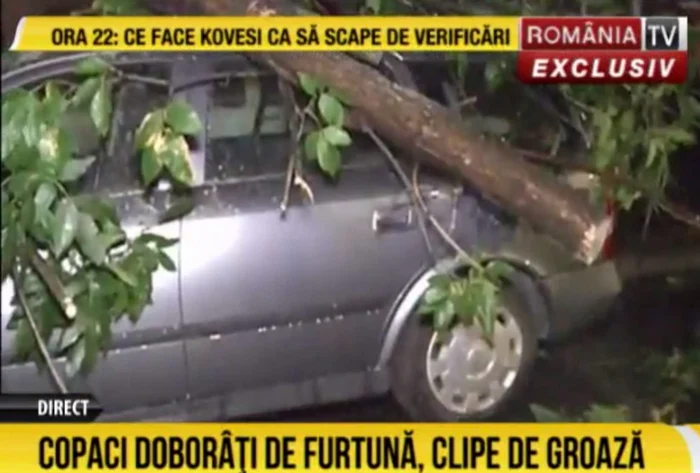 furtuna la tv foto captura