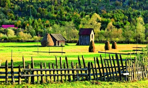 1 68811 original jpg jpeg