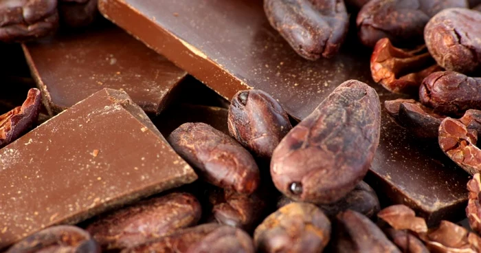 calarasi cacao