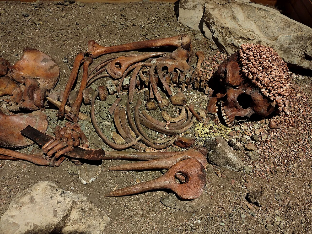 Rămășițele Prințului („Il Principe”) din peștera Arene Candide, expuse în Muzeul de Arheologie al Liguriei  (© Lorenzo Donzelli / Wikimedia Commons)