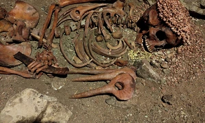 Rămășițele Prințului („Il Principe”) din peștera Arene Candide, expuse în Muzeul de Arheologie al Liguriei  (© Lorenzo Donzelli / Wikimedia Commons)