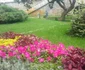Parcul Alpinet inaugurare Timisoara FOTO Daniel Dancea