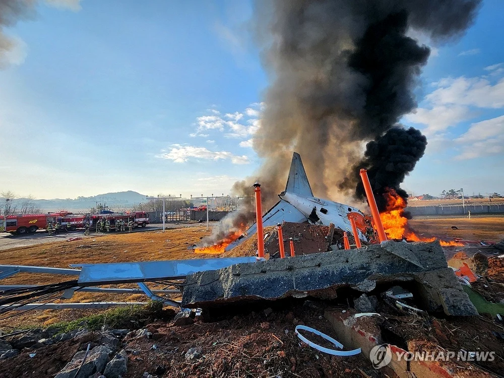 Tragedia aviatică din Coreea de Sud/ FOTO:X/Nexta
