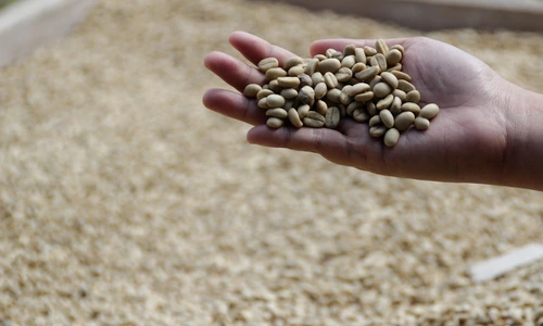 3 coffee 3408141 1280 jpg jpeg