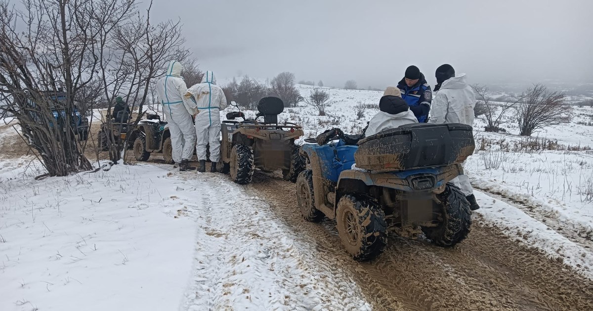 Amatori de senzații tari, amendați de jandarmi pentru călării ilegale cu ATV-urile în pădurile din Zărnești