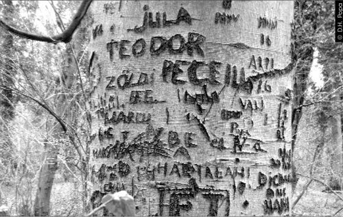 Cu ochii n 3,14 jpeg