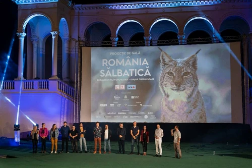 „România Sălbatică”   de azi în cinematografele din toată țara! jpeg