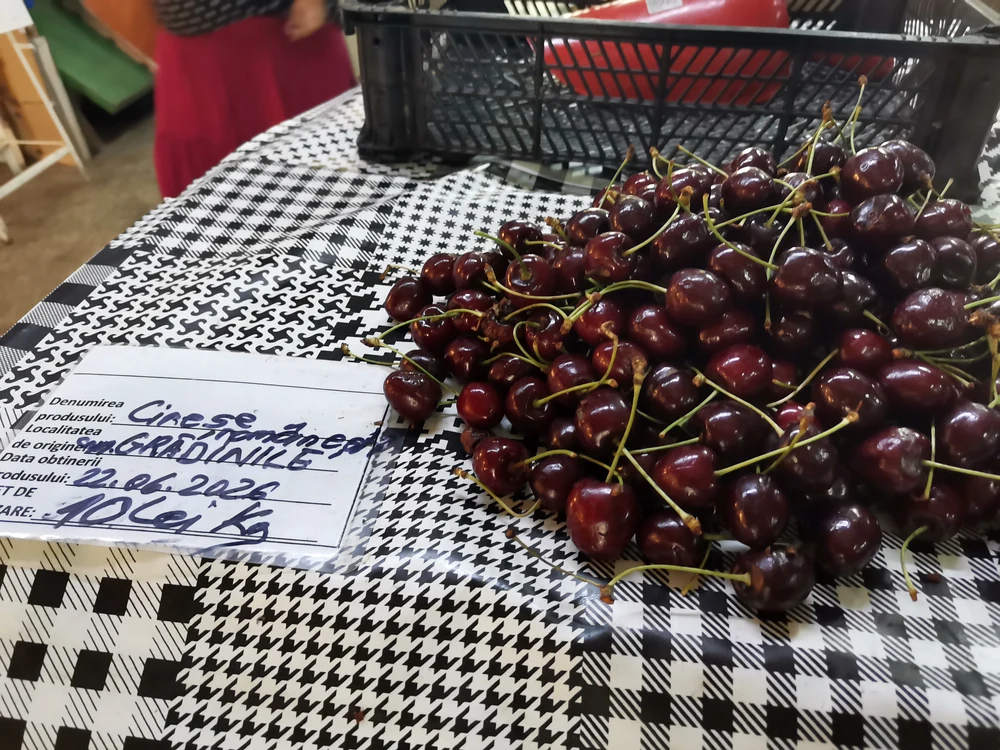Producția de cireșe din 2026 este una ridicată / foto: Alina Mitran