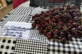 cirese piata zahana, 24 iunie 2026   foto alina mitran jpg