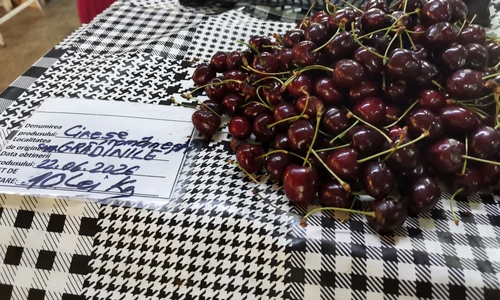 cirese piata zahana, 24 iunie 2026   foto alina mitran jpg