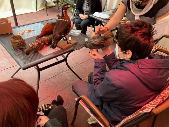 
    Copiii nevăzători au învățat despre cum arată diferite specii de păsări, după ce au avut ocazia să pună mâna pe ele  