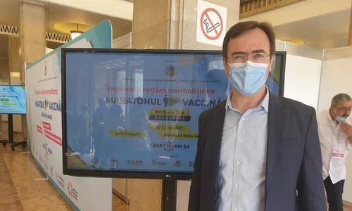 alin stoica 3 jpeg