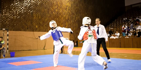 campionat taekwondo bistrita 6