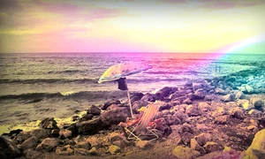 daniel necula finalist la sony world photography awards jpeg