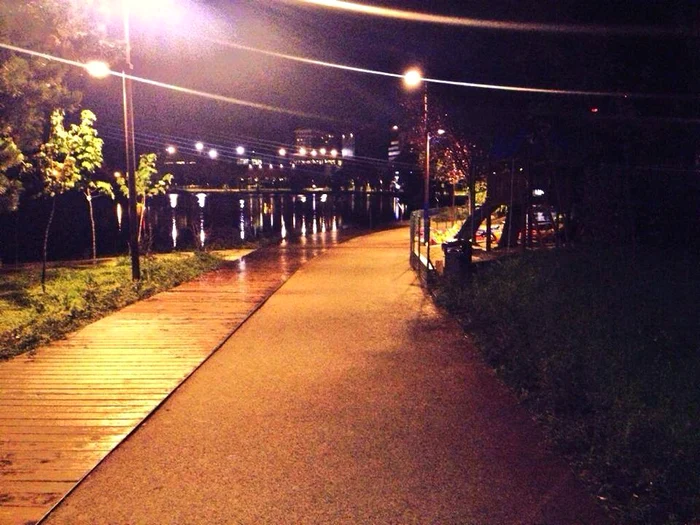 "Coşul ăla de gunoi din dreapta nu are doar gunoi în el", este unul dintre mesajele postate pe Facebook, pentru găsirea banilor