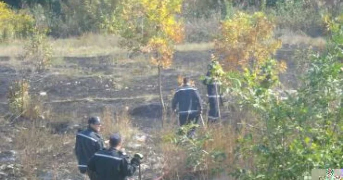 Craiova: Cimitirul Sineasca putea fi mistuit de flăcări de la o ţigară