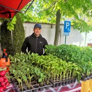 liviu moraru, legumicultor olt   foto alina mitran jpg