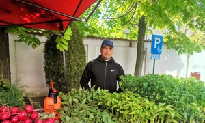 liviu moraru, legumicultor olt   foto alina mitran jpg