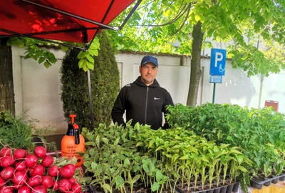 liviu moraru, legumicultor olt   foto alina mitran jpg