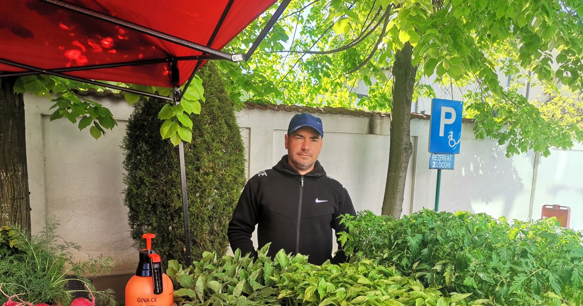 Agricultură în România după 9 ani de experiență în Anglia. „Găseau ce să facă cu căpșuna: șampoane, săpunuri, o exportau”