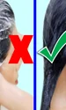 maxresdefault jpeg