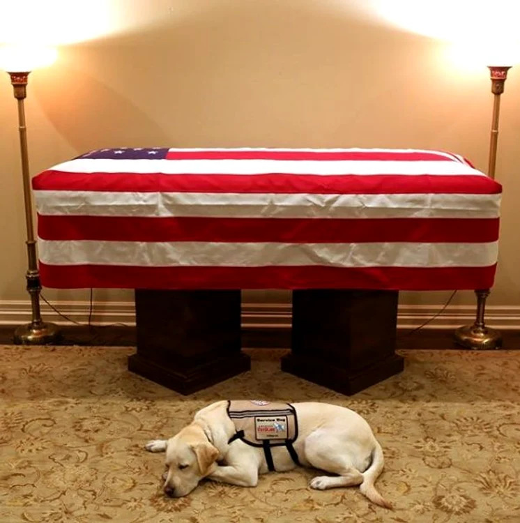 7 sully cainele lui george bush senior 5 jpg jpeg
