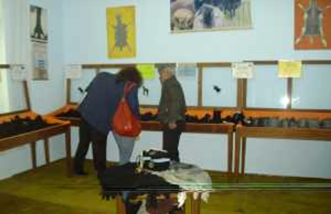 Staţiunea de Cercetare Popăuţi a reuşit să obţină pielicica roz