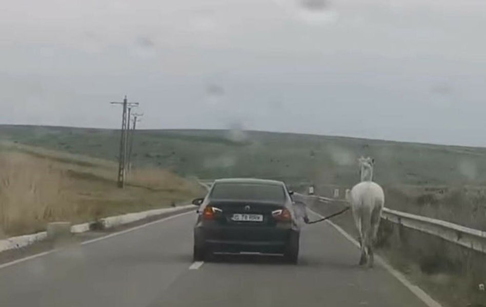 Cal plimbat cu BMW-ul. Imagini virale pe internet: „Nu fiți răutăcioși!! E Moldova, nu Austria...” VIDEO