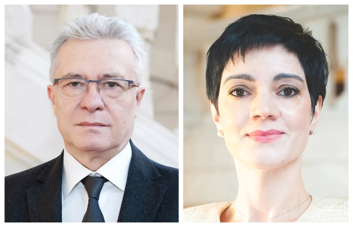 Cristian Diaconescu, consilier prezidențial FOTO: Mediafax