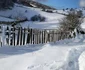 Fundătura Ponorulului iarna foto codrut adrian