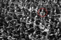 august landmesser captura video jpg