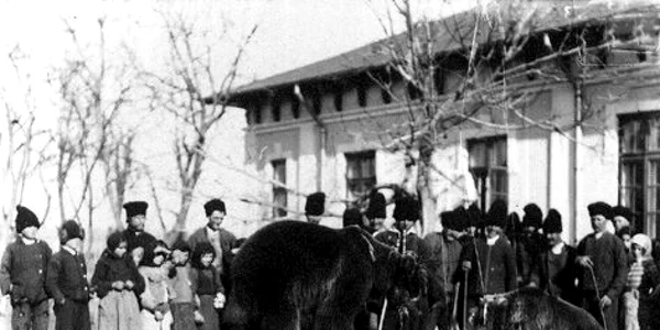 sambataursului