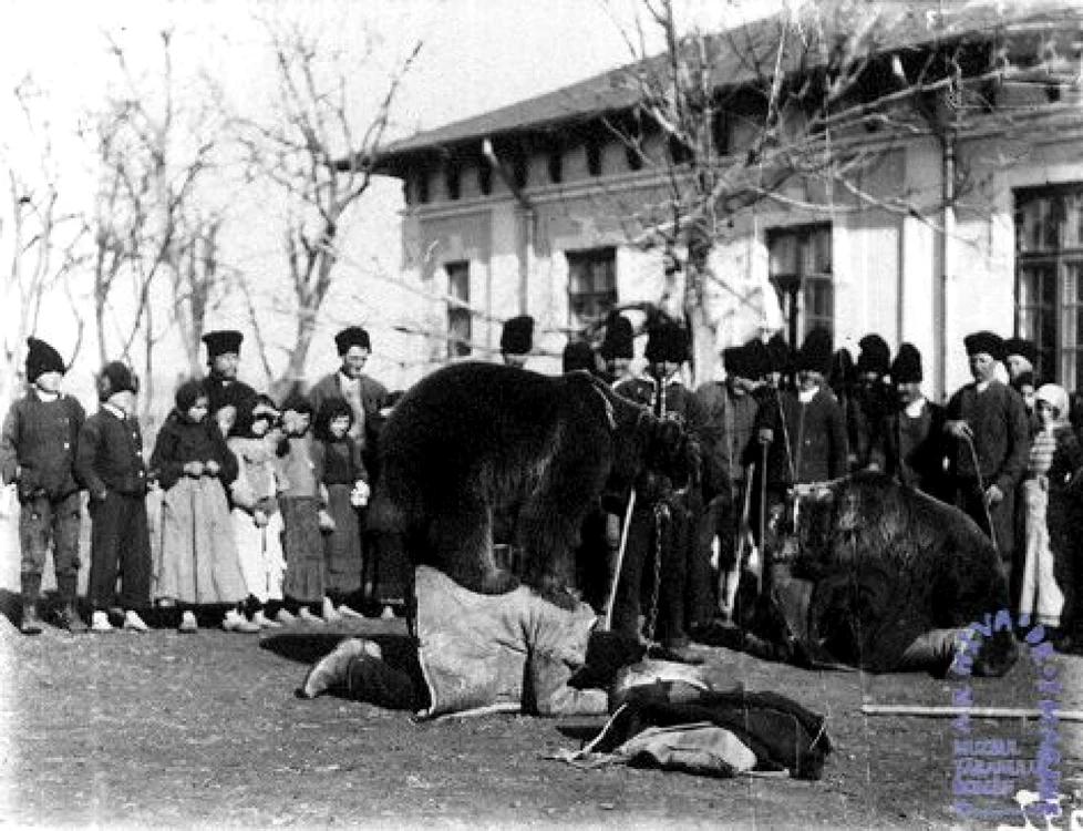 sambataursului