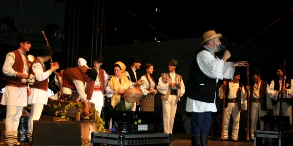 Festivalul "Bachus" din 2012  a fost cel mai scump