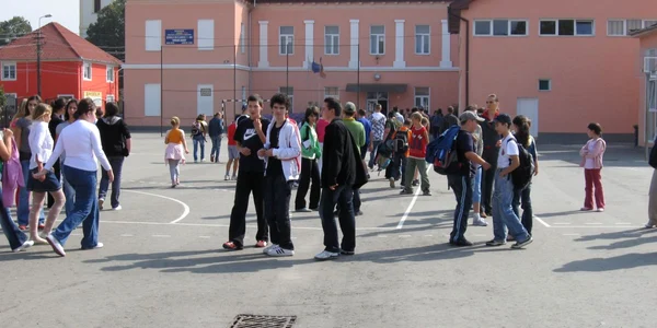 Rezultatele la testarea naţională se afişează vineri la centrele de examen. 