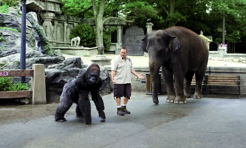 1 48935 original jpg jpeg