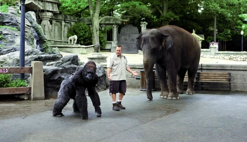 1 48935 original jpg jpeg