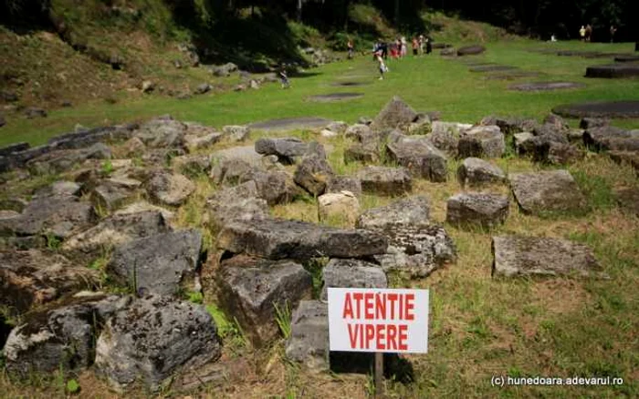 Unele monumente istorice, cum este Sarmizegetusa Regia, au atenţionări cu privire la vipere.