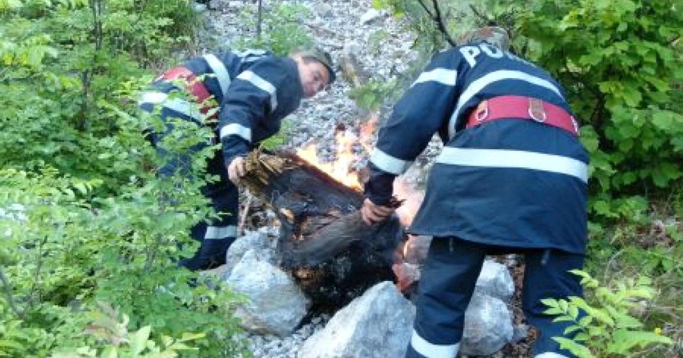 Nu s-a găsit niciun vinovat în acest caz. Foto: Arhivă