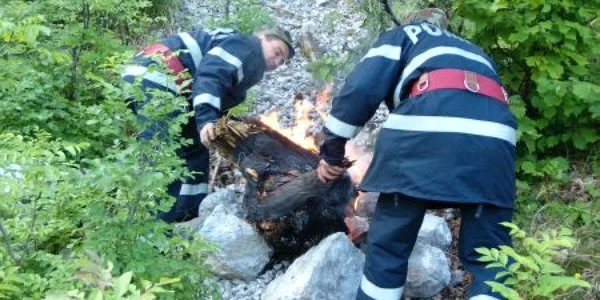 Nu s-a găsit niciun vinovat în acest caz. Foto: Arhivă