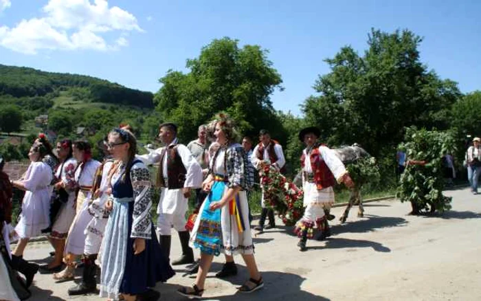 Tradiţia spune că fetele care vor prinde boul se vor mărita anul acesta sau anul viitor FOTO: Bianca Sara