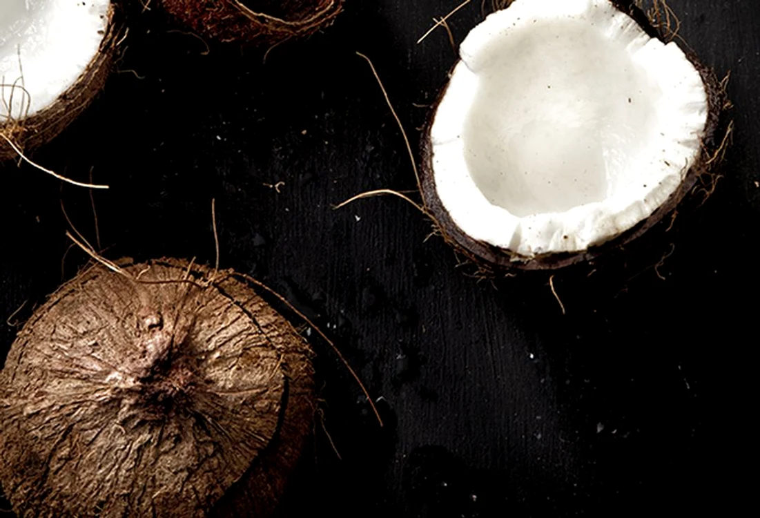 20140115 ss coconut 091 jpeg